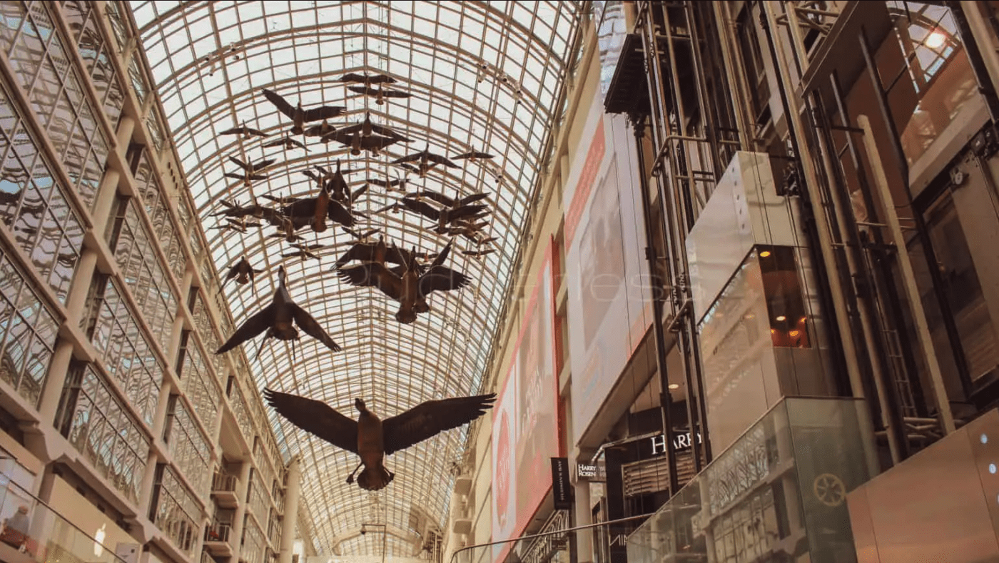 visit toronto