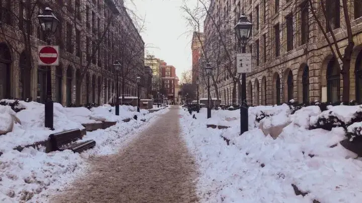 visit montreal